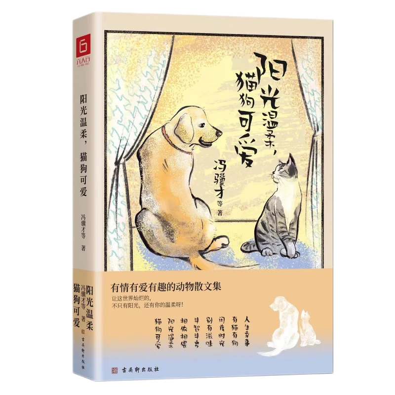 【京联】阳光温柔，猫狗可爱