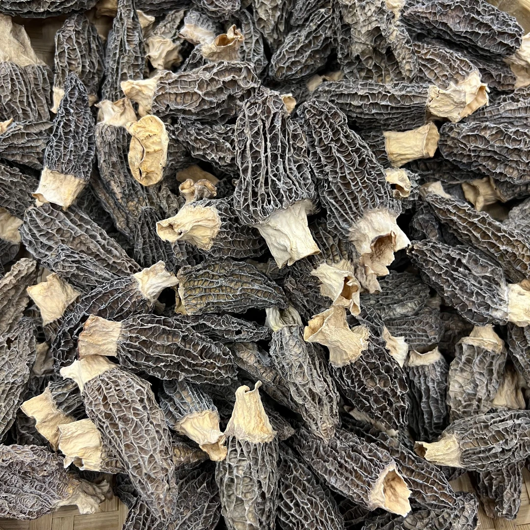 （直播）02号 优选羊肚菌 100g/250g/500g