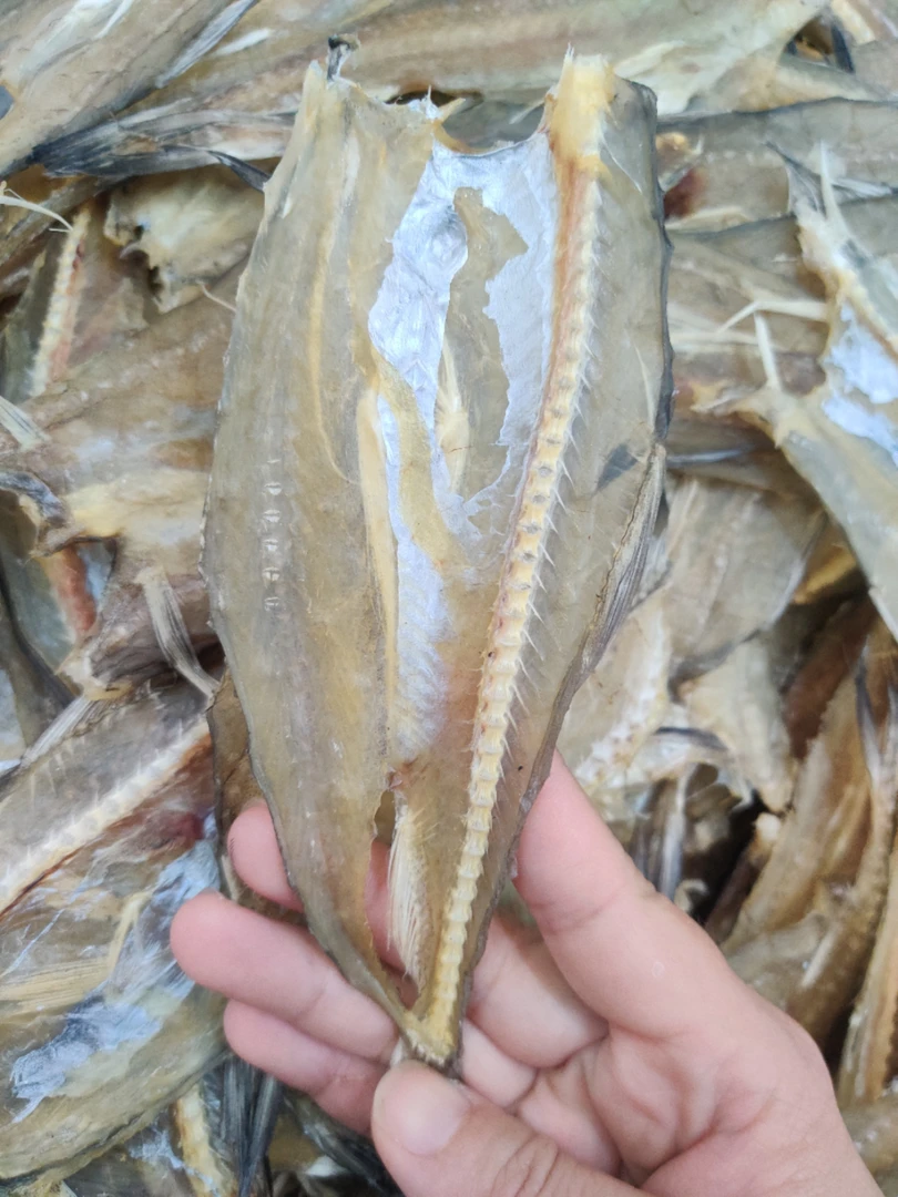汕尾渔家自晒仙鱼片 豆腐鱼干  淡口不咸 鲜明