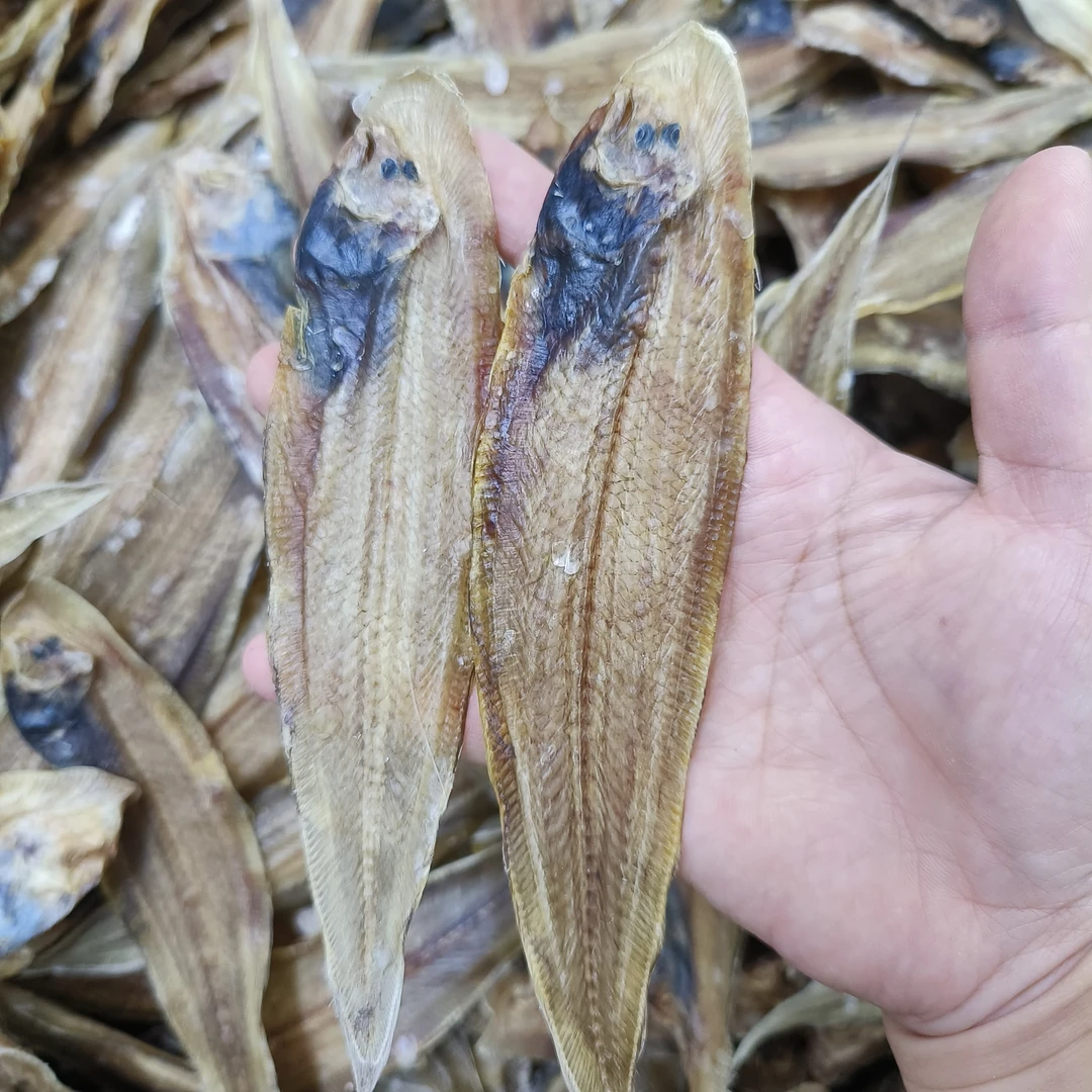 汕尾港本港龙利鱼干 纯日晒龙舌脯 足干偏淡口新鲜