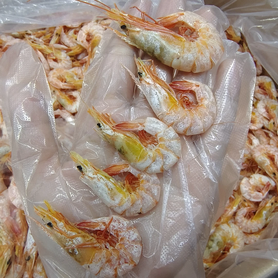 广东汕尾本港活晒沙卢虾 海虾 鲜甜无沙不咸 干度好