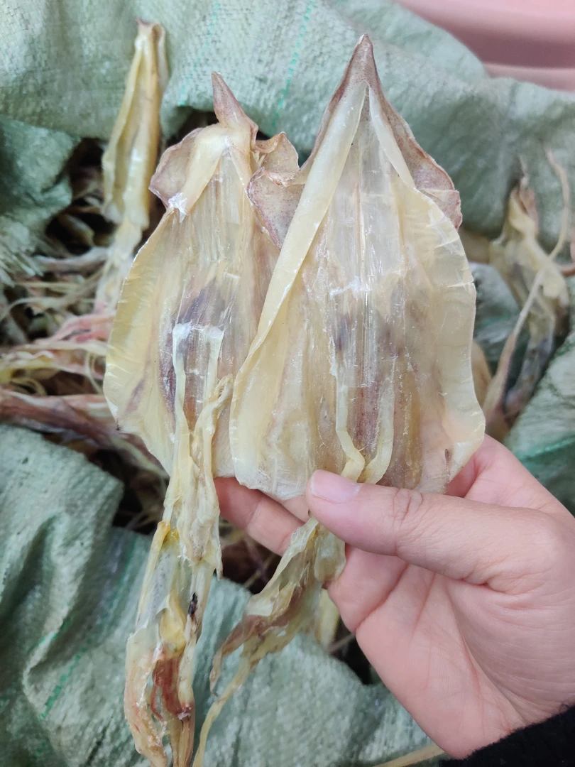 汕尾本港船晒鱿鱼干 中大号 就船鱿脯 厚肉足干贡贡香
