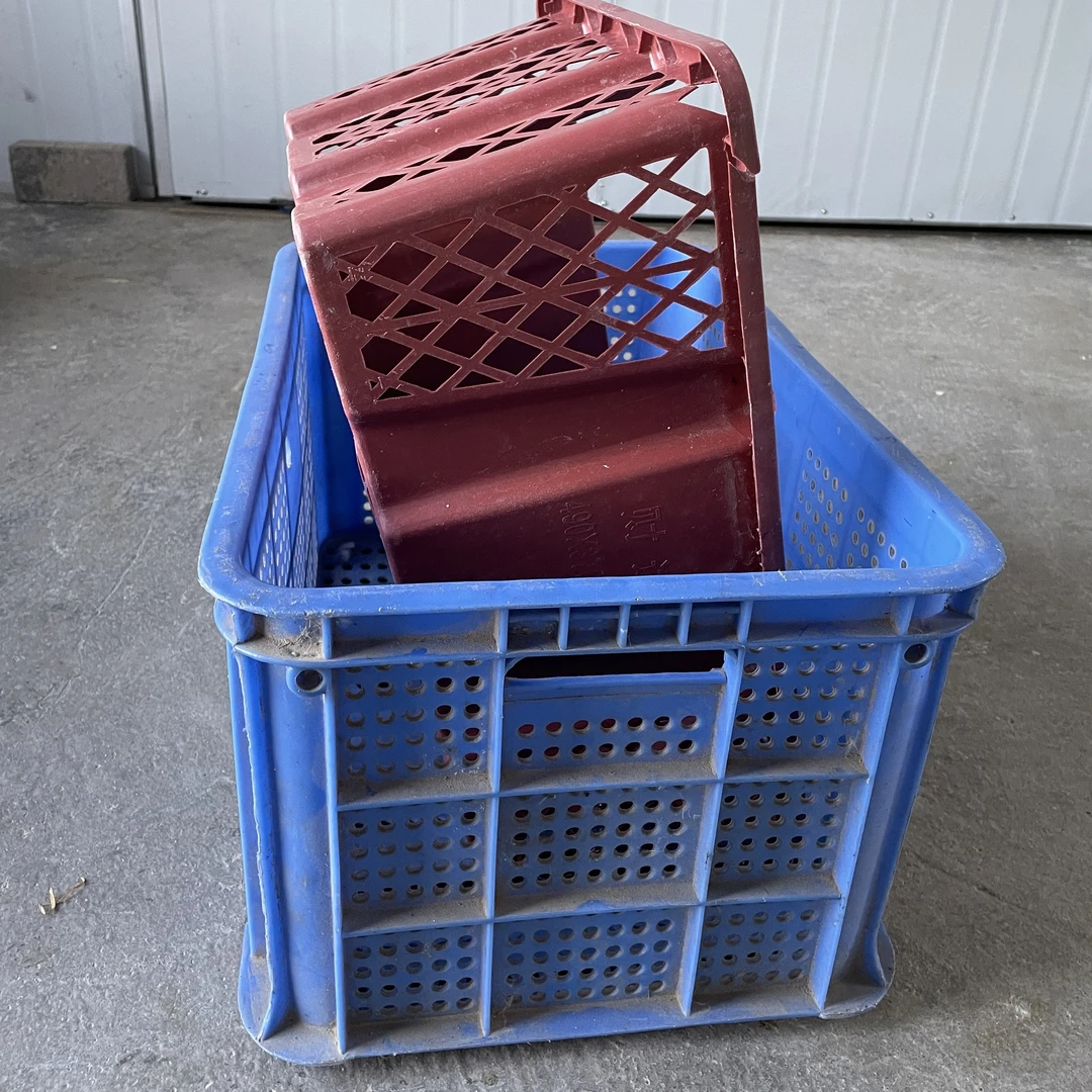 陈记狮头家用塑料筐出壳大大号套餐六个