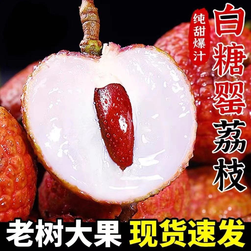 【顺丰冷链包邮】广东阳江头茬白糖罂荔枝现摘现发新鲜水果