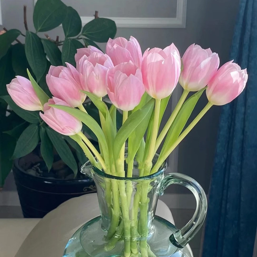 （郁金香）粉王朝东北鲜花基地发货顺丰包邮养护干净花束办公室浪漫