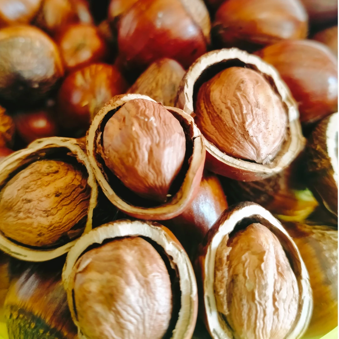 2024年东北香酥笨炒榛子皮薄大仁熟榛子优选大颗粒口感酥脆香甜