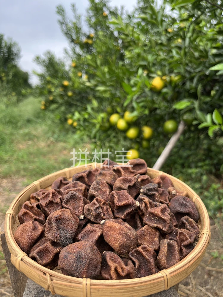 代用连接柑宝宝新会核心产地陈皮天然生晒泡茶正宗特产