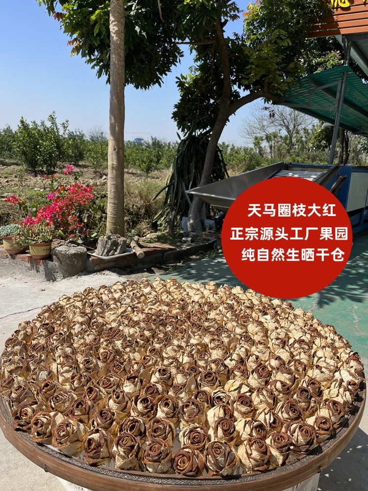 2017天马圈枝大红玫瑰花型老树皮正宗新会陈皮250克500克玻璃瓶装