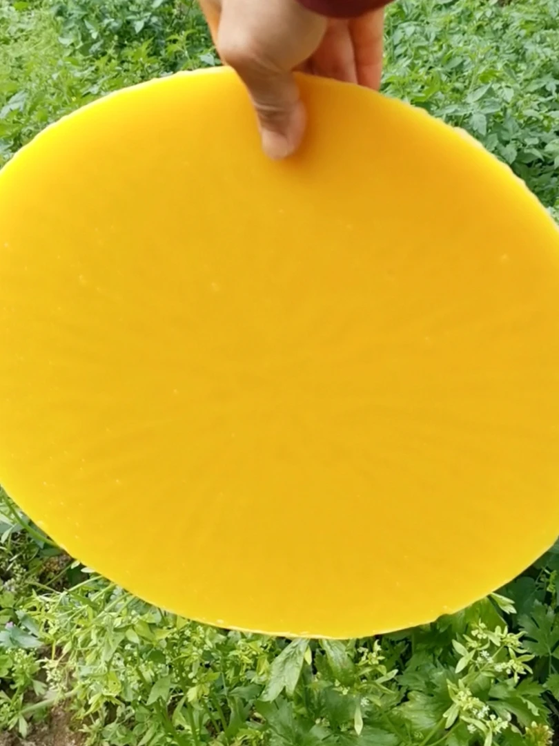 纯中蜂蜂蜡诱蜂蜂蜡育王台杯蜂蜡