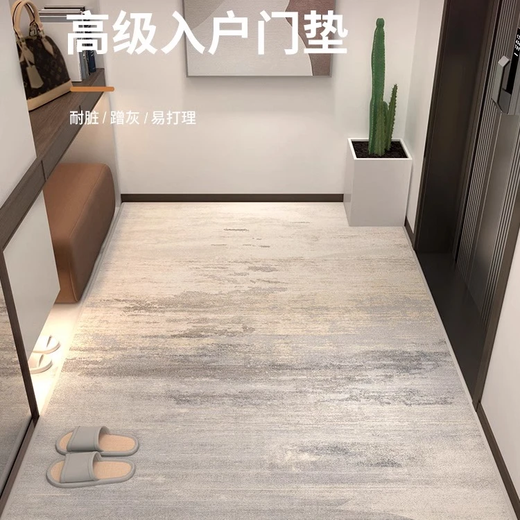 入户门脚垫免洗防滑地垫门口客厅地毯耐脏玄关电梯家用网红