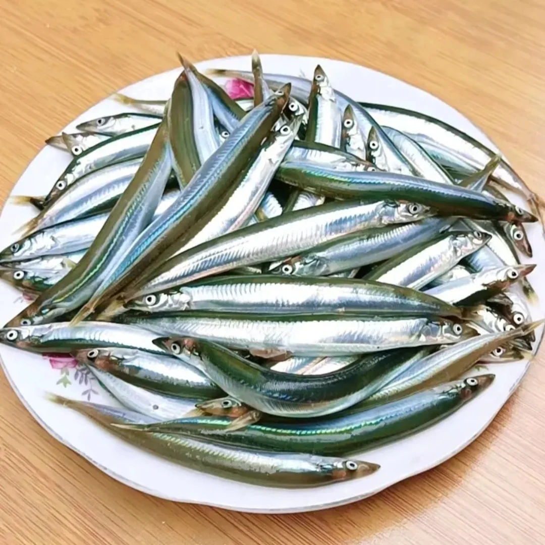 面条鱼顺丰包邮当季海鲜玉筋鱼油炸面条鱼速冻发货海捕鲅鱼饵鱼饵