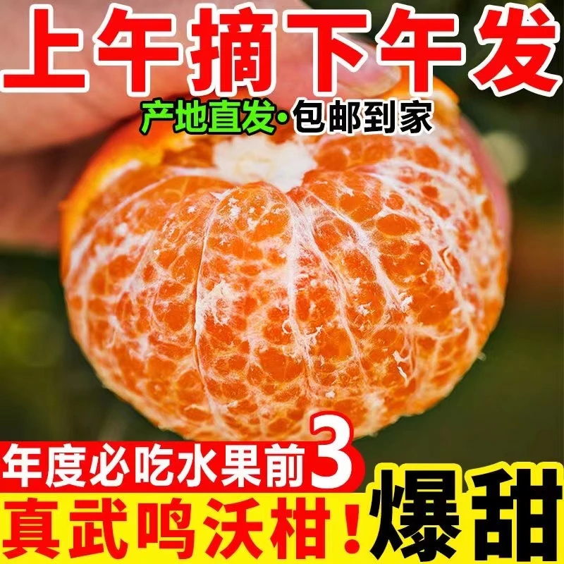 【福利抢】广西武鸣沃柑1-9斤新鲜水果砂糖蜜橘皇帝柑丑橘粑粑柑果