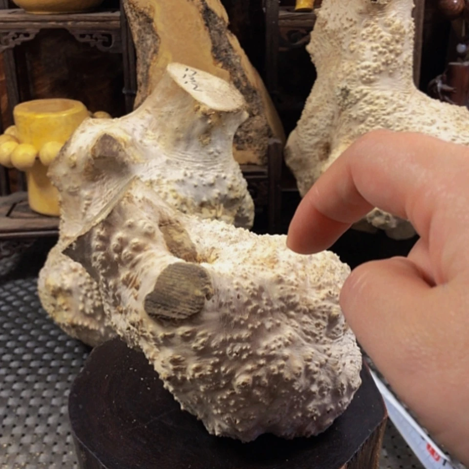 【闪购商品】木休****1木料木料木扣扣