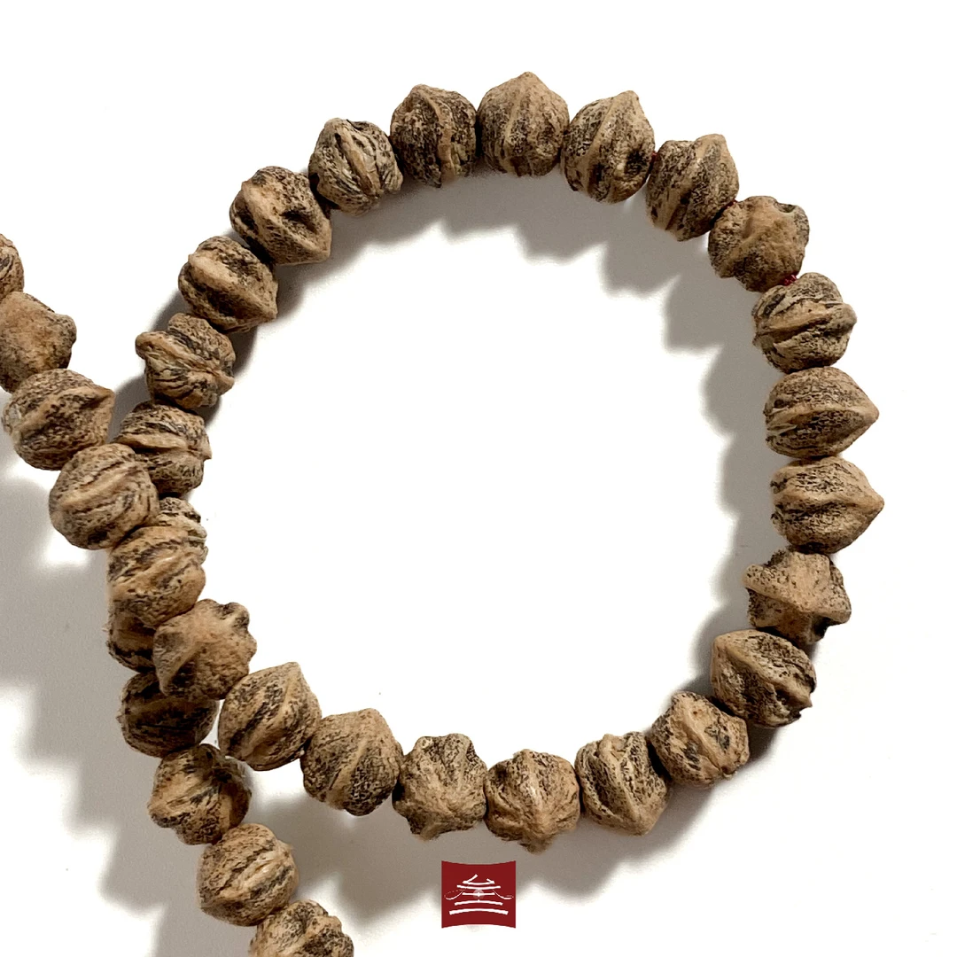 灰烬重生中的格林-战车 热振原桩横打柏香籽百香籽长串