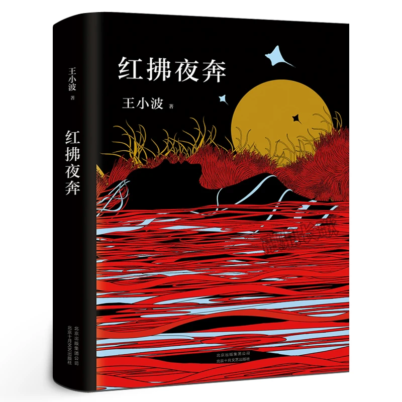 红拂夜奔 王小波经典小说精装纪念版 怀疑三部曲之趣味之书讲流氓