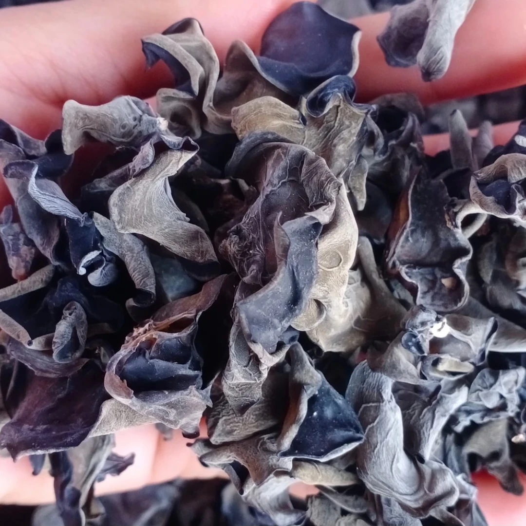 东北吉林野生木耳250克起