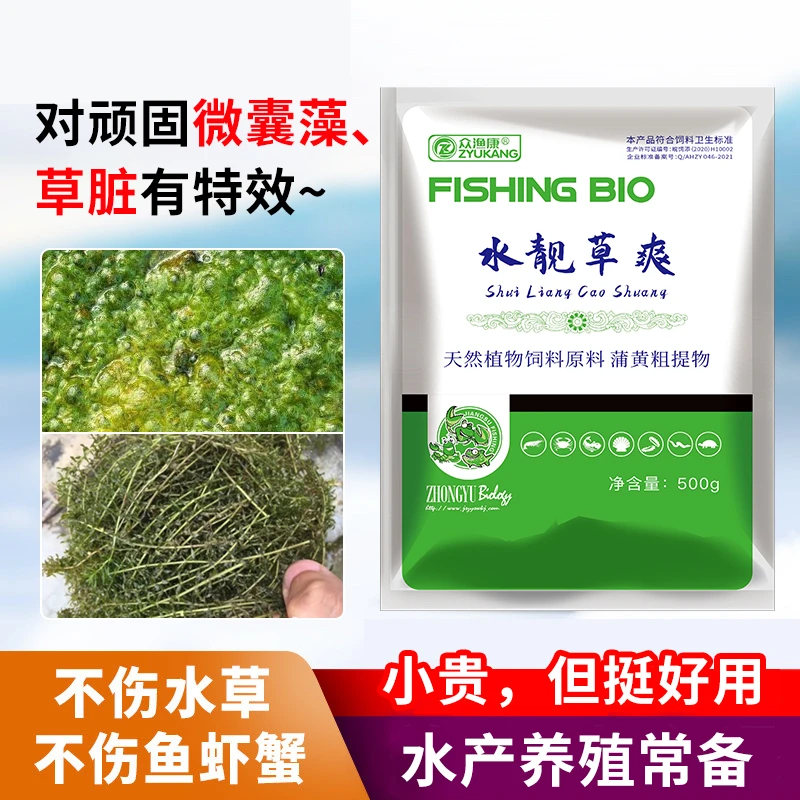 众渔康水产养殖水靓草爽去顽固微囊藻草脏中药解决蓝藻安全有效药