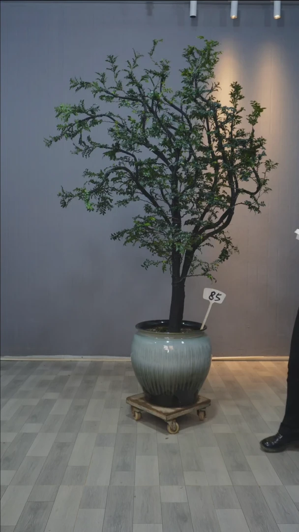 【闪购商品】小叶紫檀