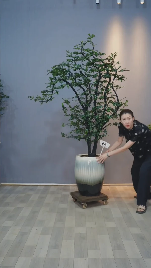 【闪购商品】黑骨茶34号