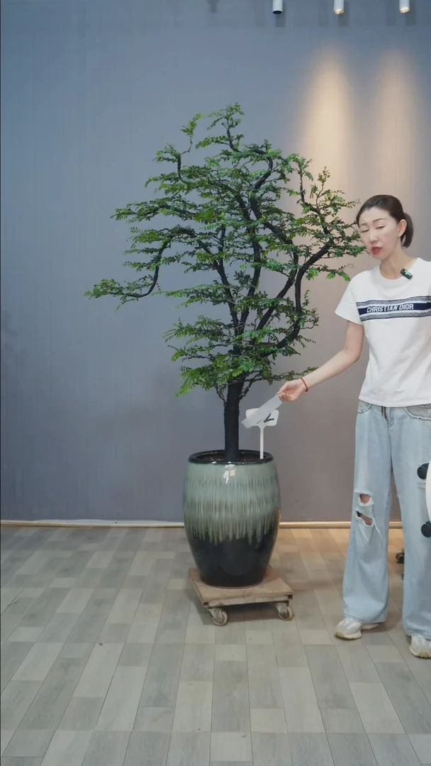 【闪购商品】黑骨茶52号