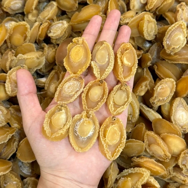 【大海货】精选溏心鲍鱼干