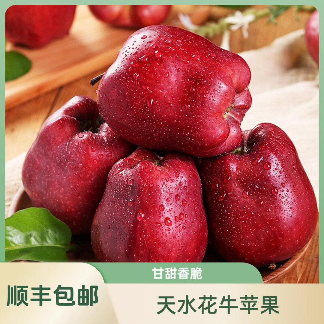 【顺丰天水花牛苹果精品】脆粉两吃黄土高原种新鲜采摘产地直包邮
