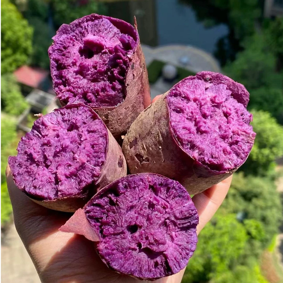 Z【原箱】【新到好吃的紫薯】仅限太原六城区榆次
