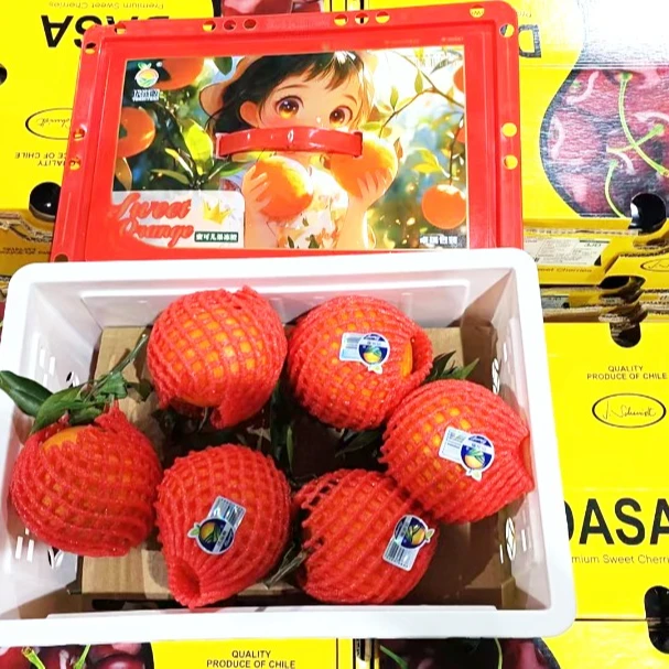 【原箱】【好吃的优滋源爱媛果冻橙】（箱/带箱6斤左右）【N】