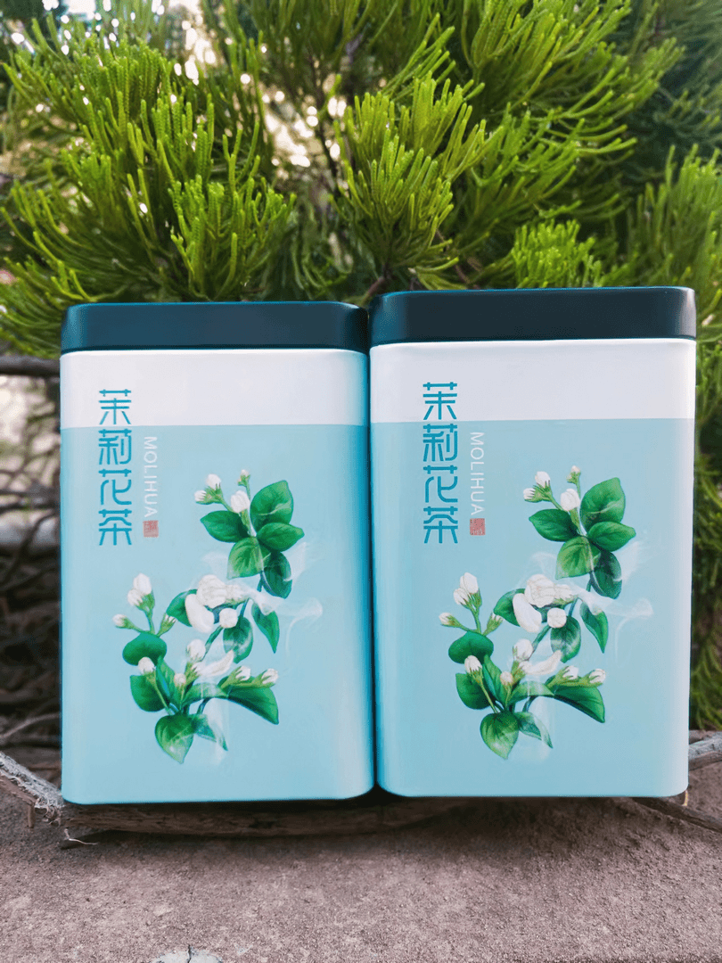茉莉花茶 茉莉花螺 2铁盒250克装