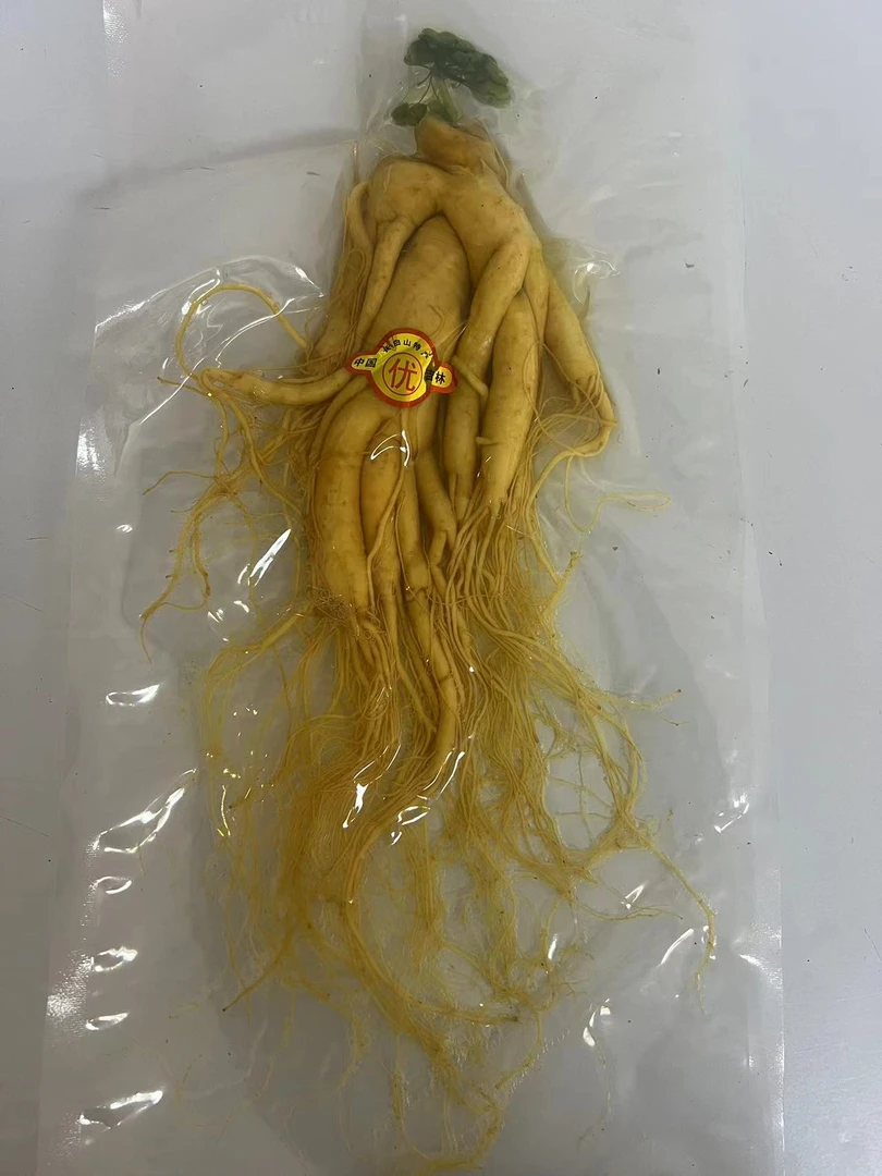 长白山人参泡酒煲汤煮粥炖肉炖鸡等