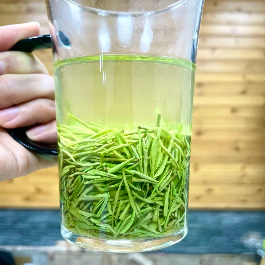 2024新茶招牌爆款茶A19雨前嫩芽信阳发正宗高山毛尖茶  绿茶