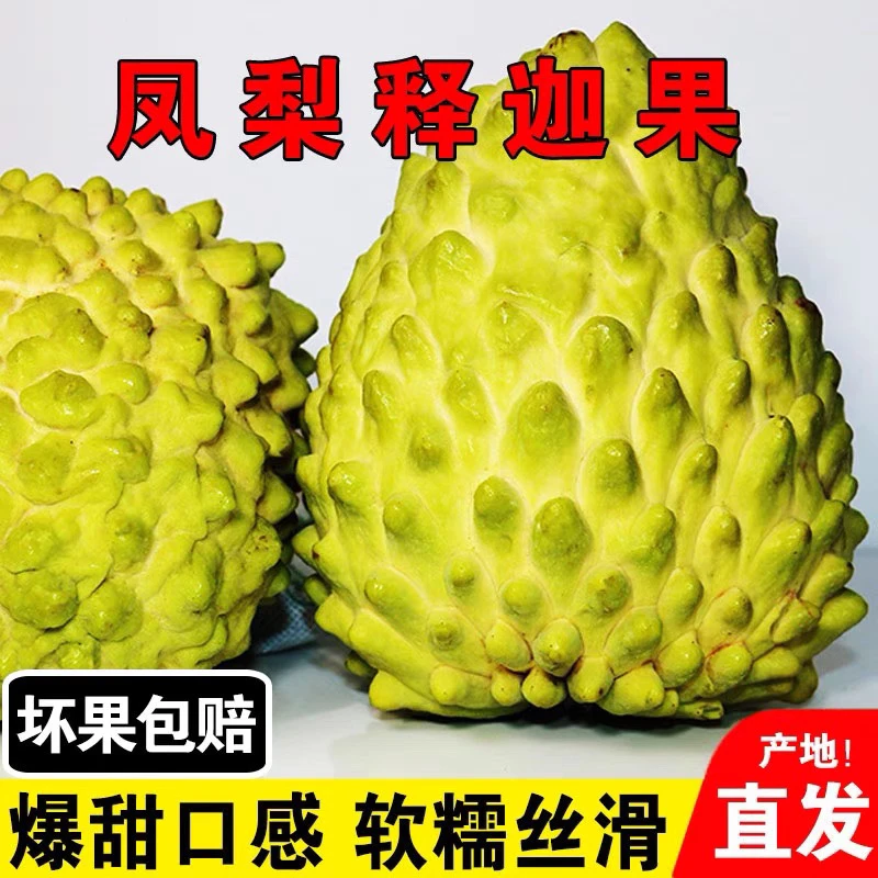 牛奶凤梨释迦果番荔枝佛头果广西当季新鲜孕妇水果非林擒大目释迦