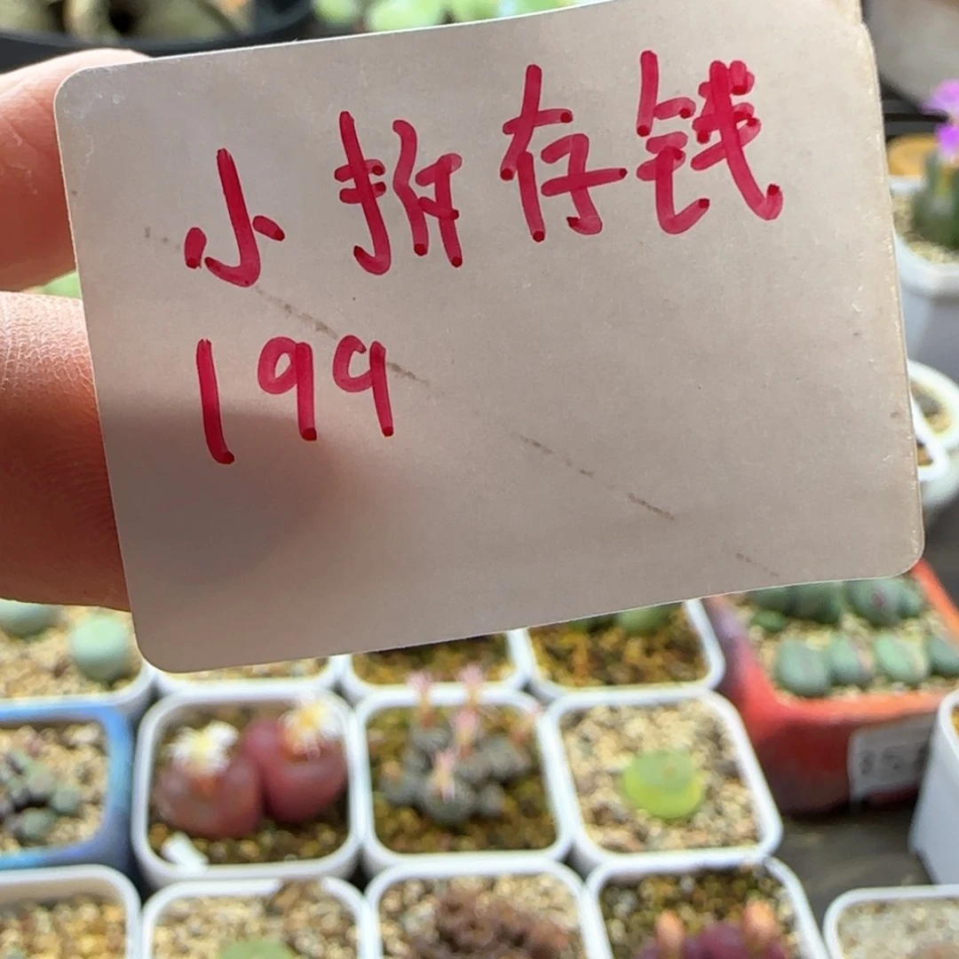 ?****?小拆存钱199