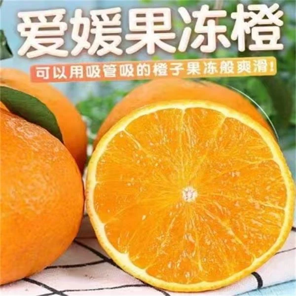 爱媛果冻橙新鲜水果超甜新鲜甜橙子大果薄皮6斤整箱