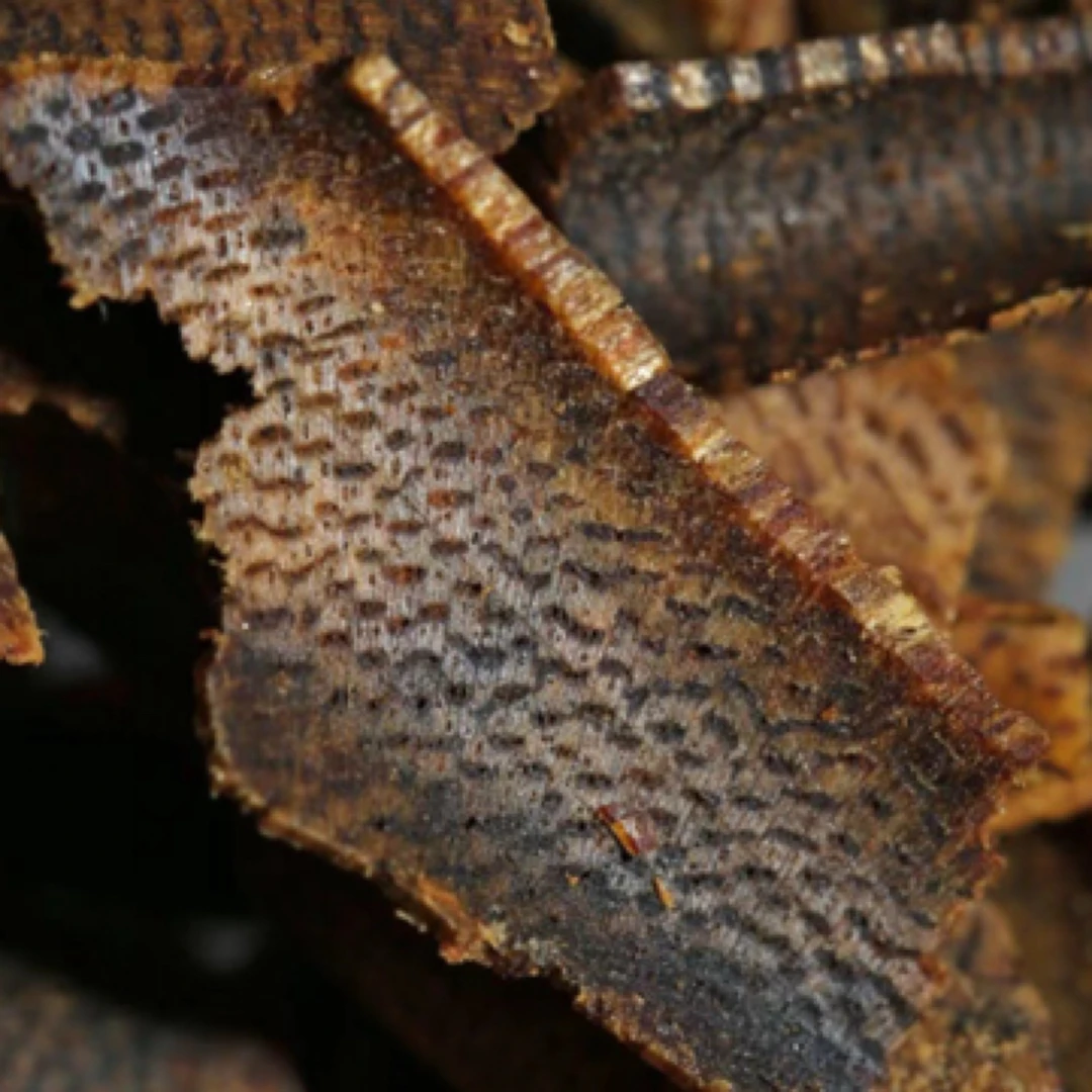 国香奇楠沉水切片熏香老料蜜甜花香干净醇厚熏香多样性发货