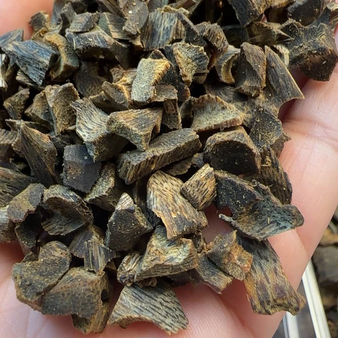 沉香山*50克奇楠碎料沉水熏香