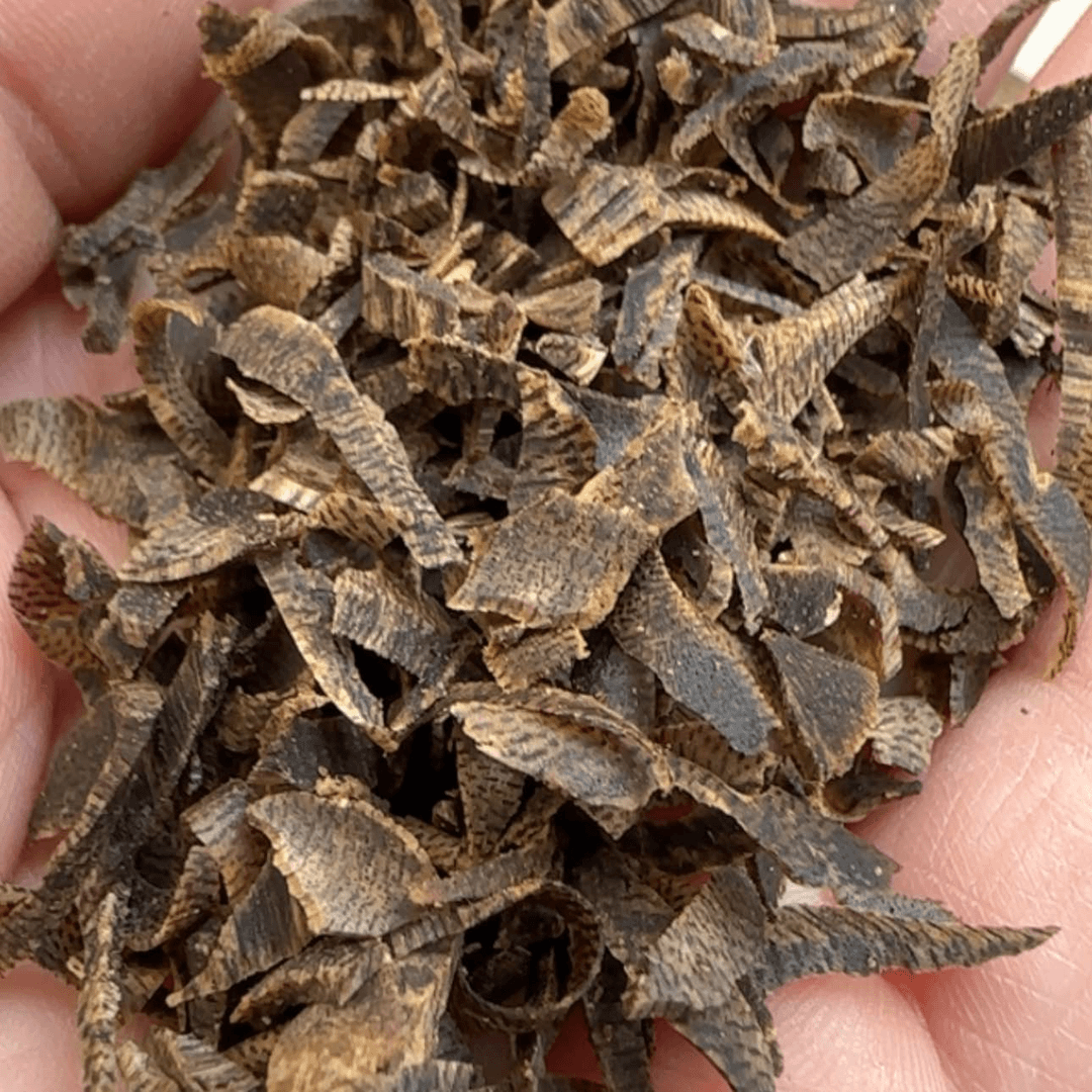【闪购商品】20克奇楠虫草丝原料
