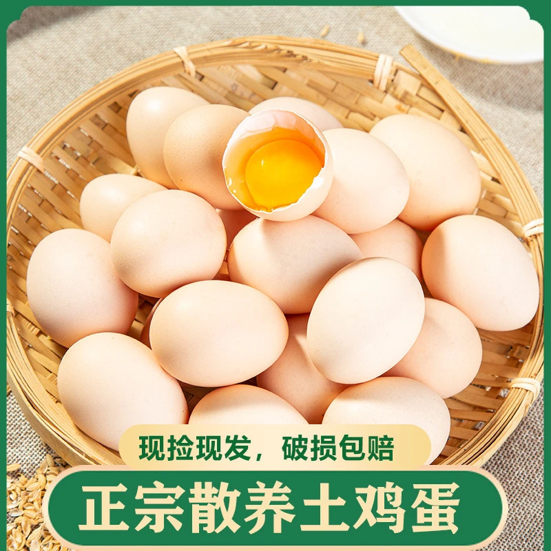 【40枚土鸡蛋】农家散养土鸡蛋 笨鸡蛋单个40g左右现拣现发坏了包赔