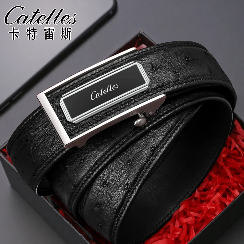 CATELLES男士【鸵鸟皮革自动扣】皮带真皮年轻人裤腰带送礼盒装