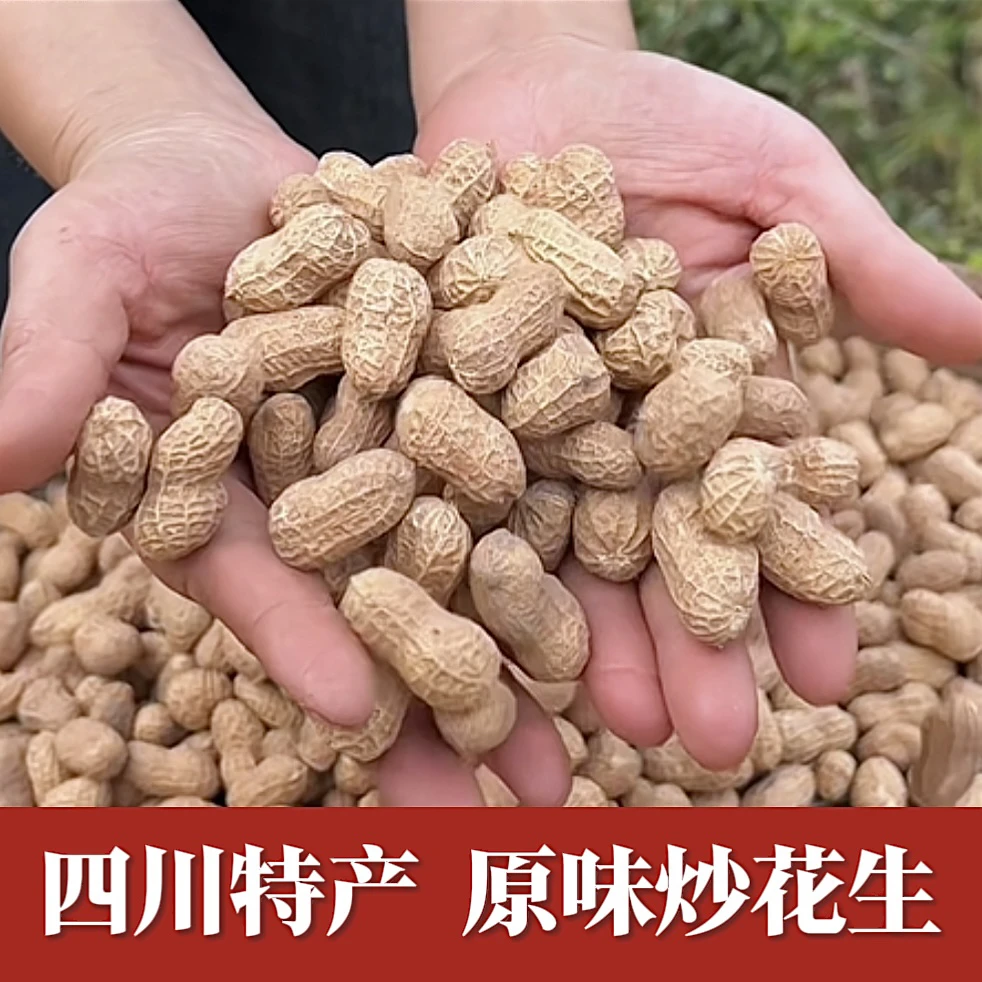 四川特产花生农家手工炒花生带壳原味花生香脆干花生