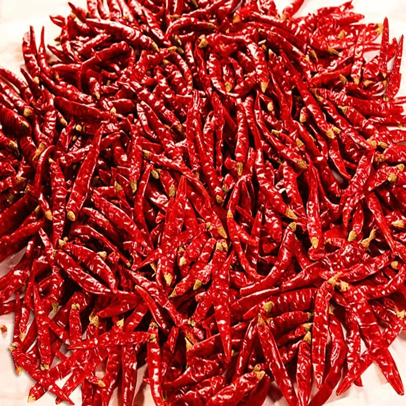 特辣小米椒印度椒魔鬼椒超辣辣椒面采摘红干辣椒段美味饱满厨房