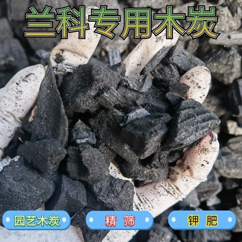君子兰木炭养兰专用兰花卉专用碳钾肥园艺木炭纯木炭小颗粒木炭