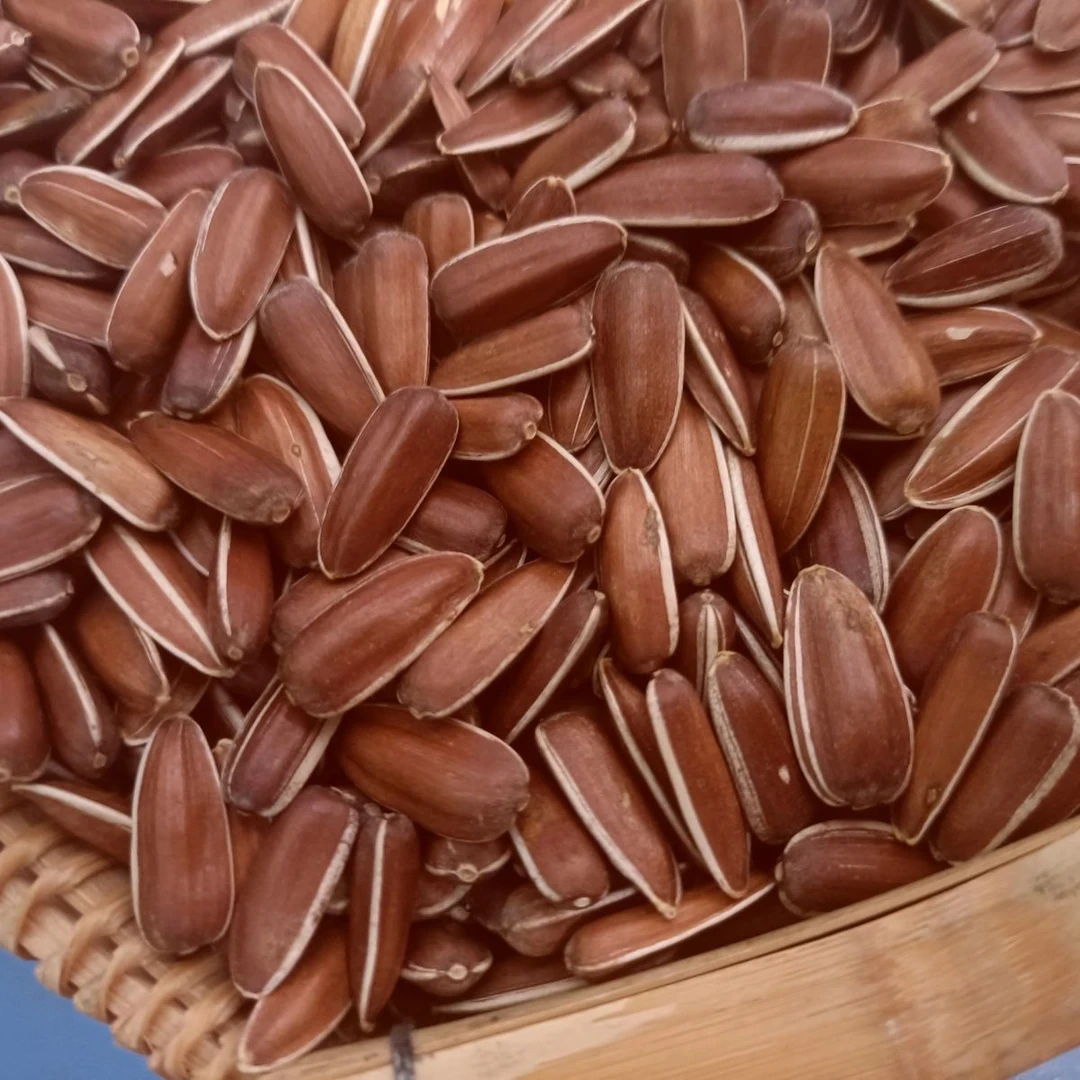 云南生红瓜子中大颗粒散装包装原味甜新货零食红皮生瓜子生葵花籽