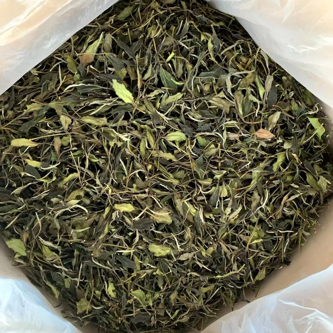 梅占白茶•花香高扬100g