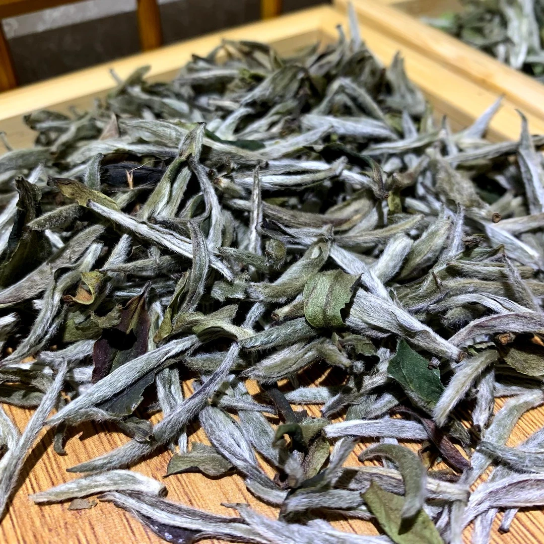 白毫银针教学样（电焙vs炭焙）5g×4包