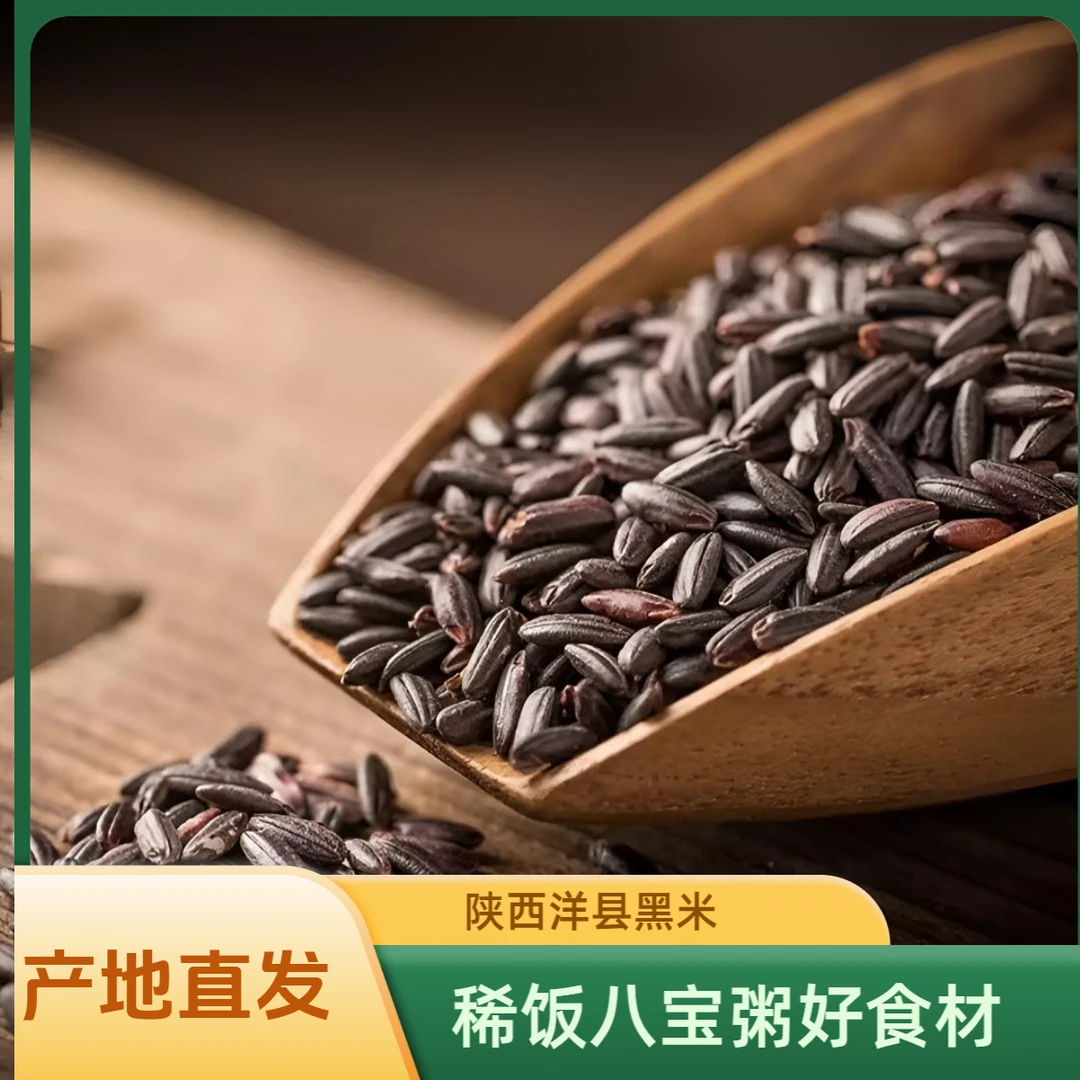 陕西洋县黑米5斤包邮黑色营养新米精选食用煮粥