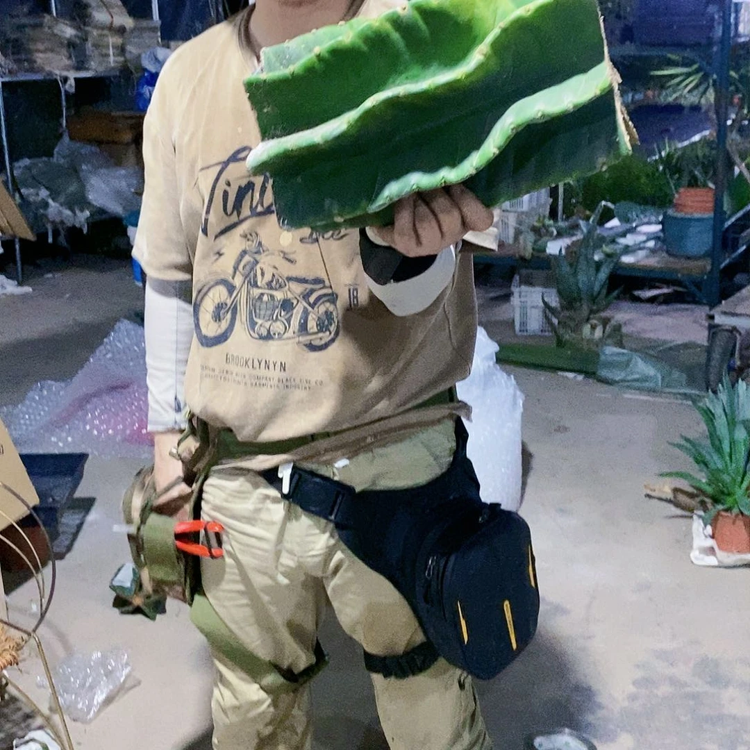 用****3秘鲁头无根