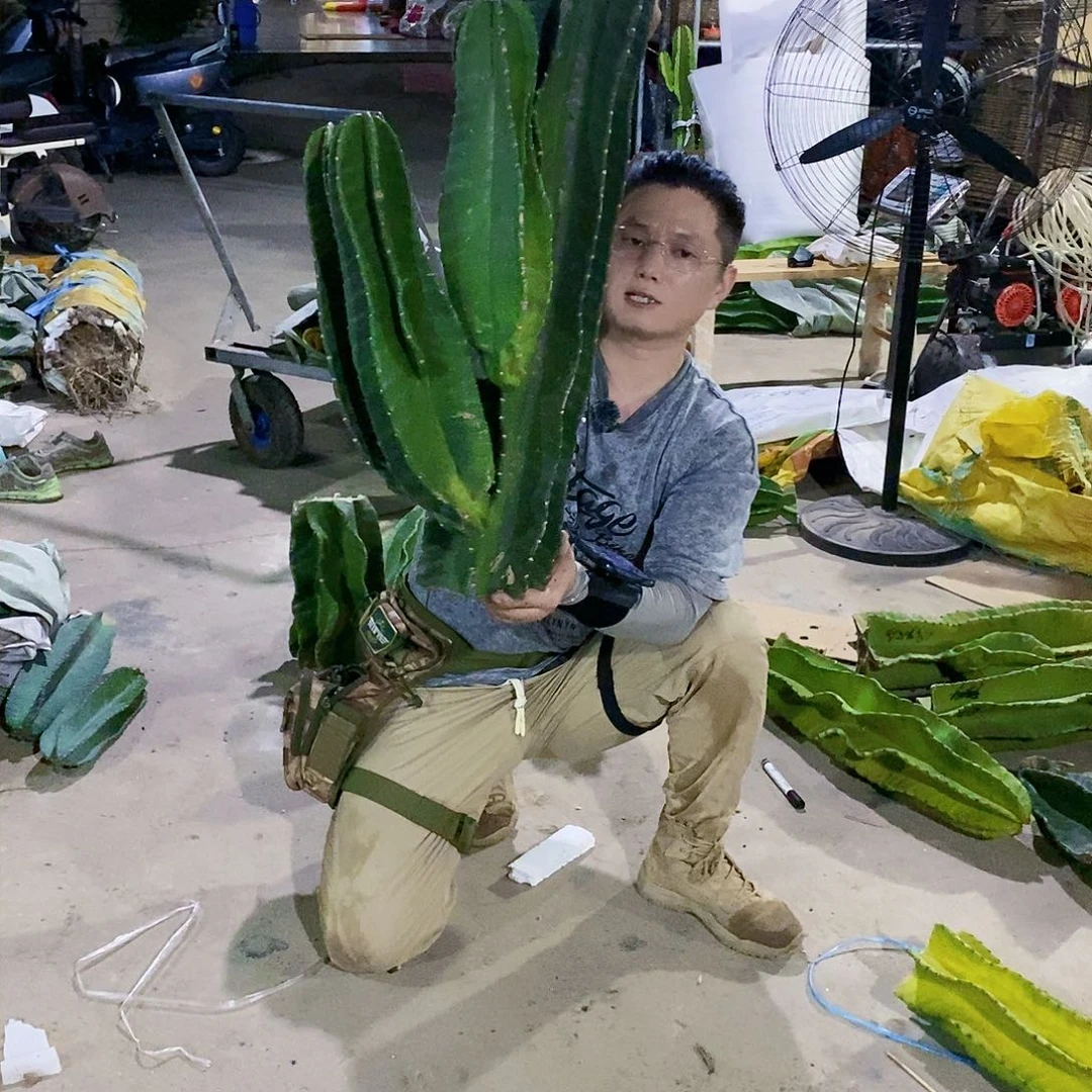 秘鲁苹果母头带3侧枝