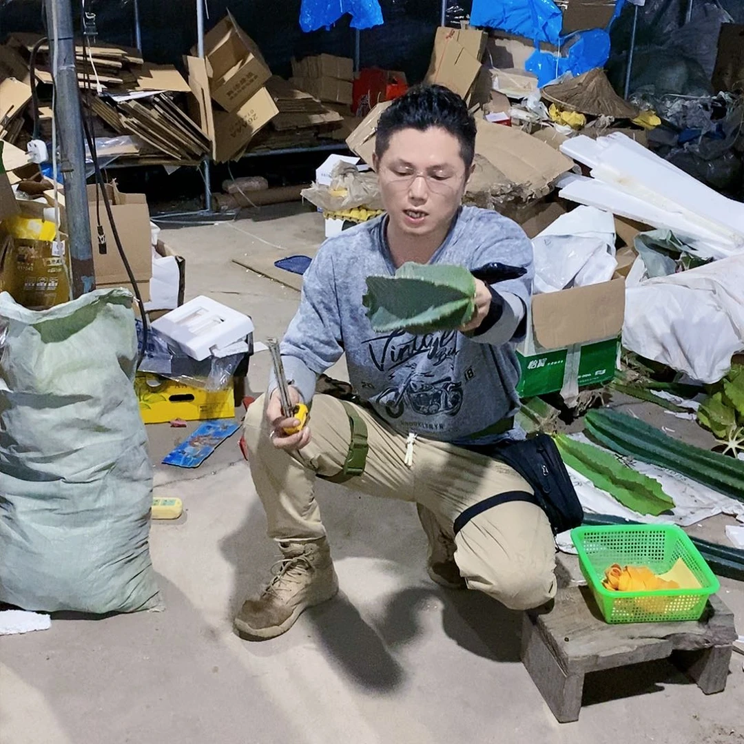 秘鲁苹果侧枝30公分左右加一根30公分大戟阁