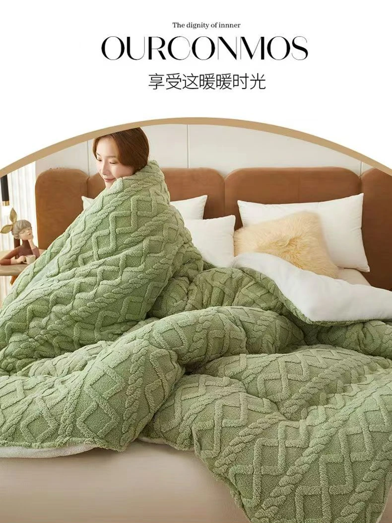 羊羔绒被子冬被加厚塔芙绒棉被双面绒被褥秋冬季学生宿舍保暖被芯